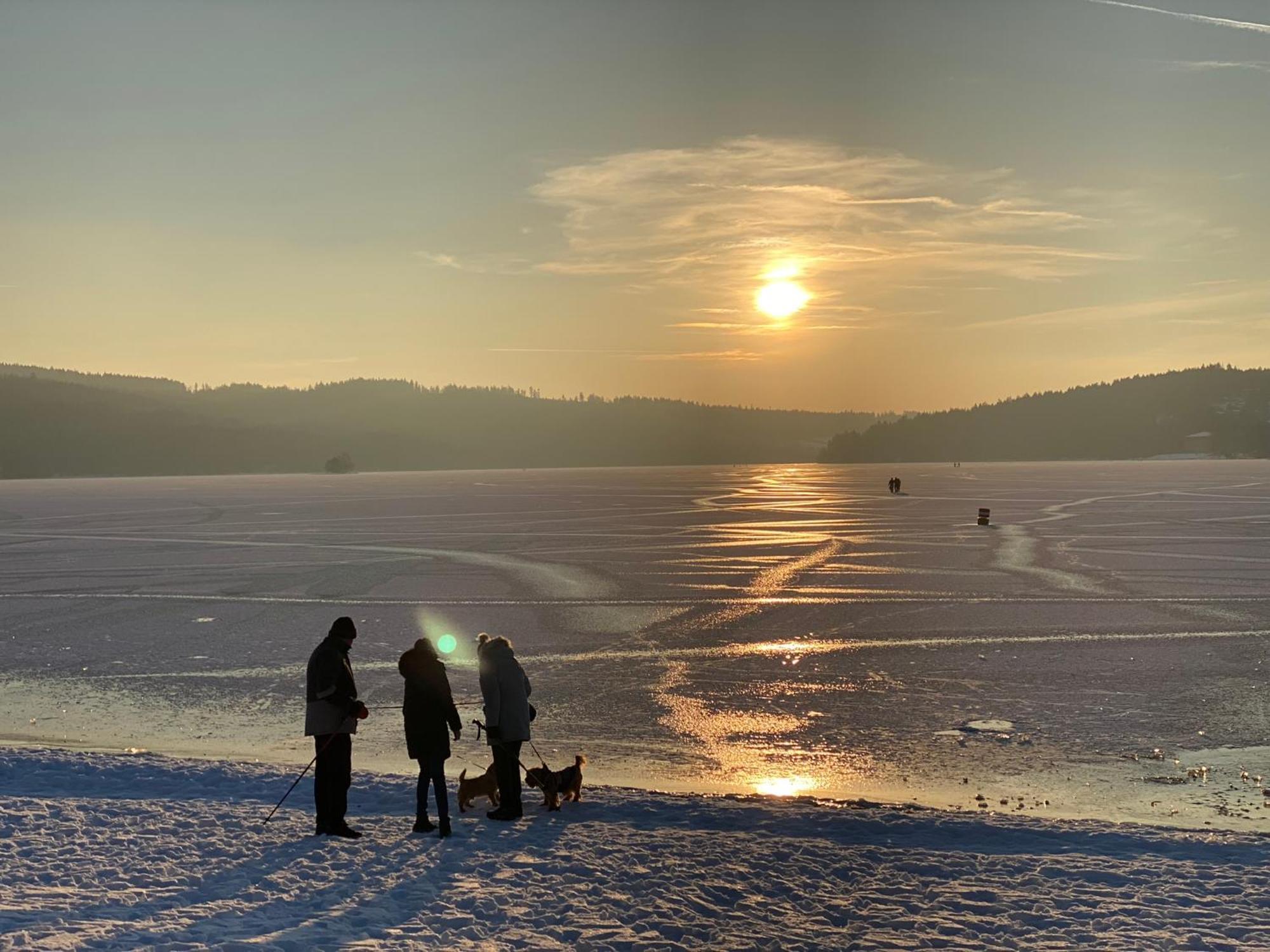 Apartman Verca Riviera Lipno 510 Lipno nad Vltavou Zewnętrze zdjęcie